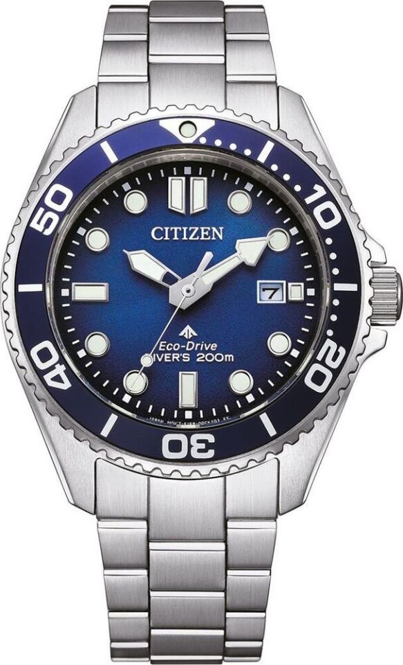 Citizen Promaster Eco-Drive Diver BN0260-54L Erkek Kol Saati