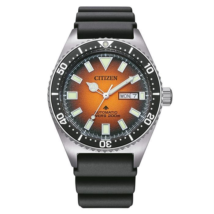 Citizen Promaster Diver NY0120-01ZE Erkek Kol Saati
