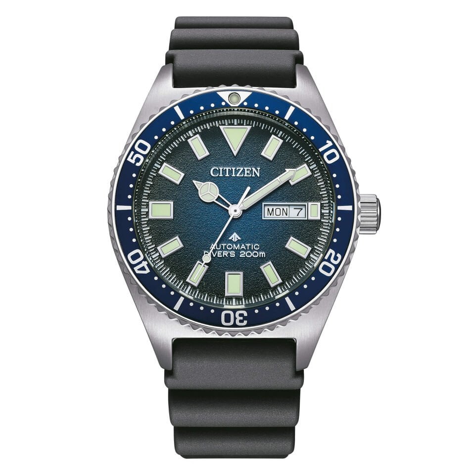 Citizen Promaster Diver NY0129-07LE Erkek Kol Saati